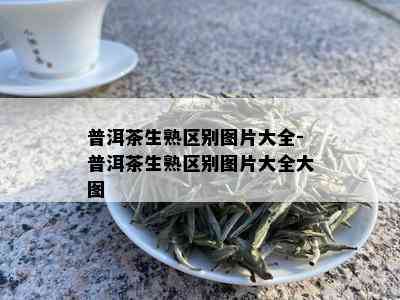 普洱茶生熟区别图片大全-普洱茶生熟区别图片大全大图