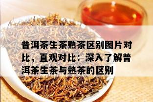 普洱茶生茶熟茶区别图片对比，直观对比：深入了解普洱茶生茶与熟茶的区别