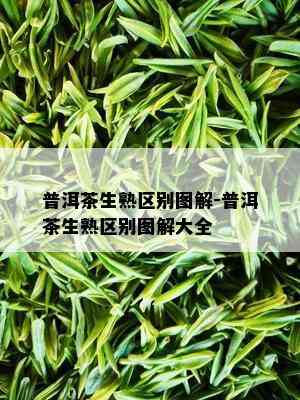 普洱茶生熟区别图解-普洱茶生熟区别图解大全