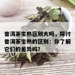 普洱茶生熟区别大吗，探讨普洱茶生熟的区别：你了解它们的差异吗？