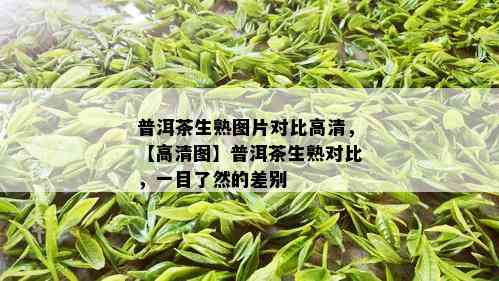 普洱茶生熟图片对比高清，【高清图】普洱茶生熟对比，一目了然的差别