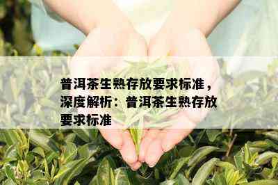 普洱茶生熟存放要求标准，深度解析：普洱茶生熟存放要求标准