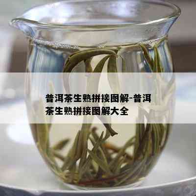 普洱茶生熟拼接图解-普洱茶生熟拼接图解大全