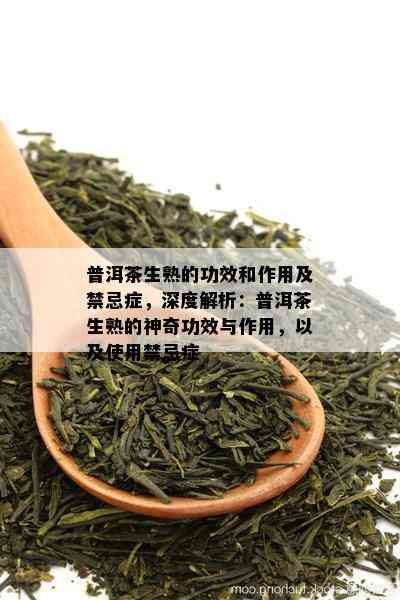 普洱茶生熟的功效和作用及禁忌症，深度解析：普洱茶生熟的神奇功效与作用，以及使用禁忌症