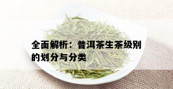 全面解析：普洱茶生茶级别的划分与分类