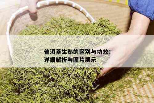 普洱茶生熟的区别与功效：详细解析与图片展示