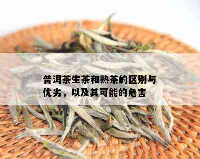 普洱茶生茶和熟茶的区别与优劣，以及其可能的危害