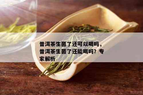 普洱茶生菌了还可以喝吗，普洱茶生菌了还能喝吗？专家解析