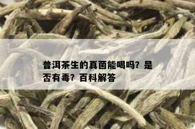 普洱茶生的真菌能喝吗？是否有？百科解答