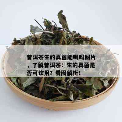 普洱茶生的真菌能喝吗图片，了解普洱茶：生的真菌是否可饮用？看图解析！