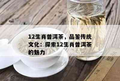 12生肖普洱茶，品鉴传统文化：探索12生肖普洱茶的魅力