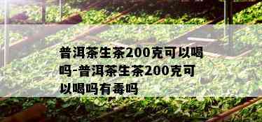 普洱茶生茶200克可以喝吗-普洱茶生茶200克可以喝吗有吗