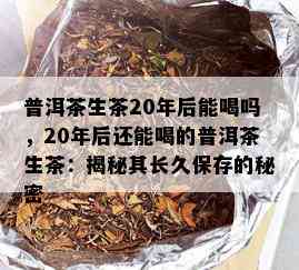 普洱茶生茶20年后能喝吗，20年后还能喝的普洱茶生茶：揭秘其长久保存的秘密