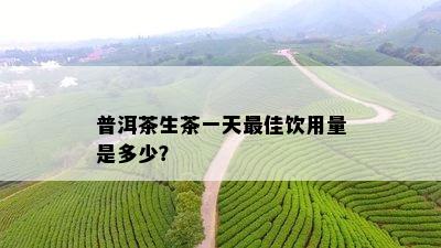 普洱茶生茶一天更佳饮用量是多少？