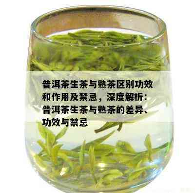 普洱茶生茶与熟茶区别功效和作用及禁忌，深度解析：普洱茶生茶与熟茶的差异、功效与禁忌