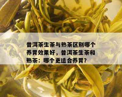 普洱茶生茶与熟茶区别哪个养胃效果好，普洱茶生茶和熟茶：哪个更适合养胃？