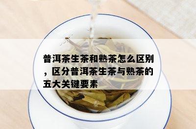 普洱茶生茶和熟茶怎么区别，区分普洱茶生茶与熟茶的五大关键要素