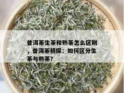 普洱茶生茶和熟茶怎么区别，普洱茶初探：如何区分生茶与熟茶？