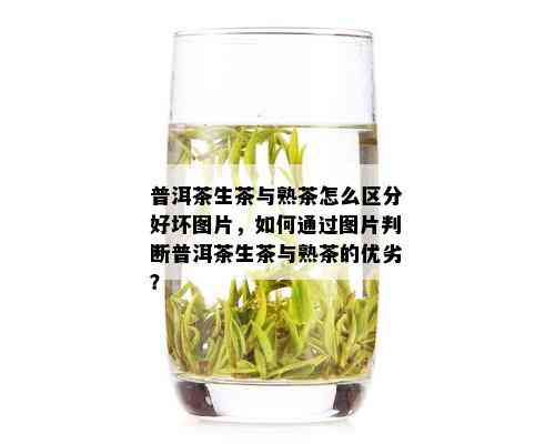 普洱茶生茶与熟茶怎么区分好坏图片，如何通过图片判断普洱茶生茶与熟茶的优劣？