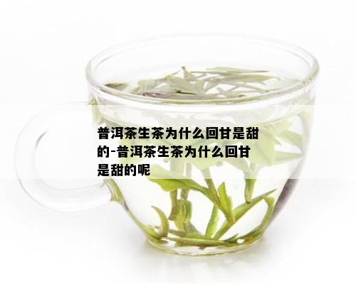 普洱茶生茶为什么回甘是甜的-普洱茶生茶为什么回甘是甜的呢