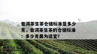 普洱茶生茶仓储标准是多少克，普洱茶生茶的仓储标准：多少克最为适宜？