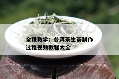 全程教学：普洱茶生茶制作过程视频教程大全