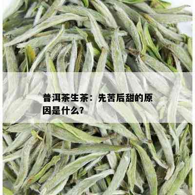 普洱茶生茶：先苦后甜的原因是什么？