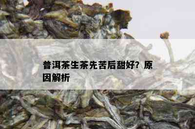 普洱茶生茶先苦后甜好？原因解析