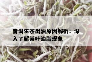 普洱生茶出油原因解析：深入了解茶叶油脂现象