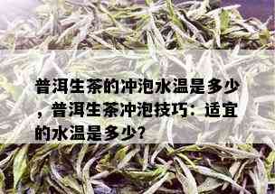 普洱生茶的冲泡水温是多少，普洱生茶冲泡技巧：适宜的水温是多少？