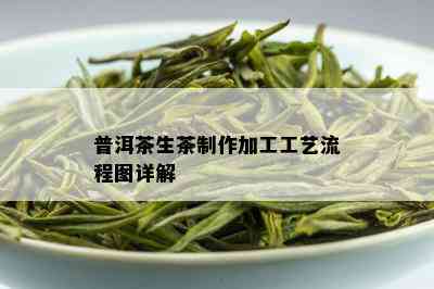 普洱茶生茶制作加工工艺流程图详解