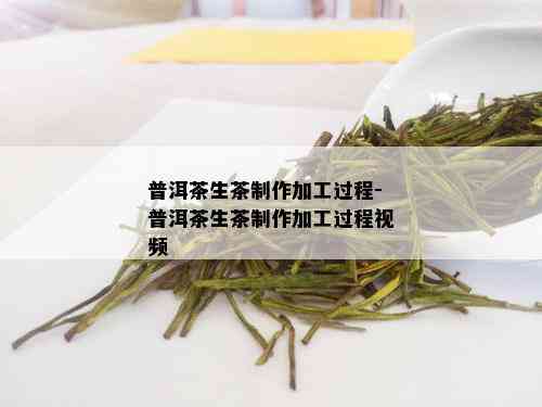 普洱茶生茶制作加工过程-普洱茶生茶制作加工过程视频