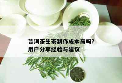 普洱茶生茶制作成本高吗？用户分享经验与建议