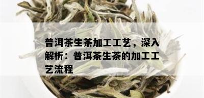 普洱茶生茶加工工艺，深入解析：普洱茶生茶的加工工艺流程