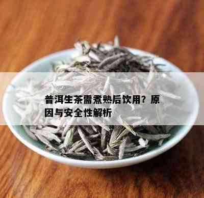 普洱生茶需煮熟后饮用？原因与安全性解析