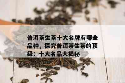 普洱茶生茶十大名牌有哪些品种，探究普洱茶生茶的顶级：十大名品大揭秘