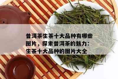 普洱茶生茶十大品种有哪些图片，探索普洱茶的魅力：生茶十大品种的图片大全