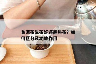 普洱茶生茶好还是熟茶？如何区分及功效作用