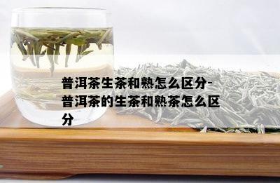 普洱茶生茶和熟怎么区分-普洱茶的生茶和熟茶怎么区分