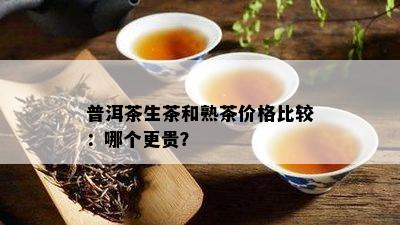 普洱茶生茶和熟茶价格比较：哪个更贵？