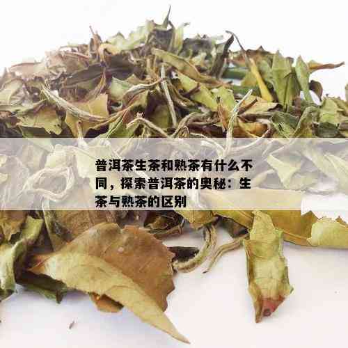 普洱茶生茶和熟茶有什么不同，探索普洱茶的奥秘：生茶与熟茶的区别