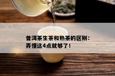 普洱茶生茶和熟茶的区别：弄懂这4点就够了！