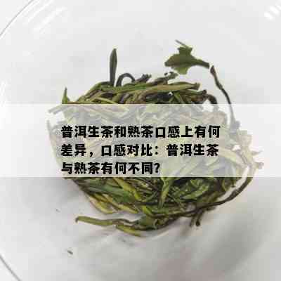 普洱生茶和熟茶口感上有何差异，口感对比：普洱生茶与熟茶有何不同？