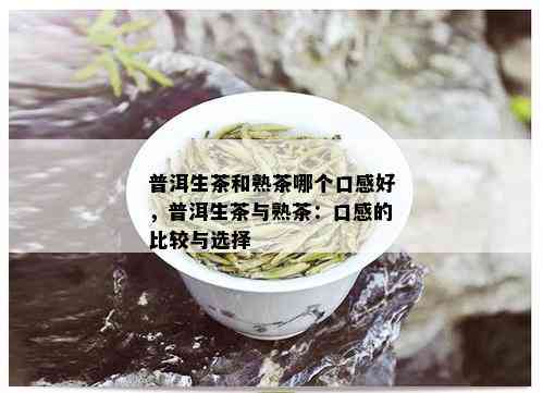 普洱生茶和熟茶哪个口感好，普洱生茶与熟茶：口感的比较与选择