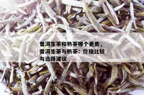 普洱生茶和熟茶哪个更贵，普洱生茶与熟茶：价格比较与选择建议