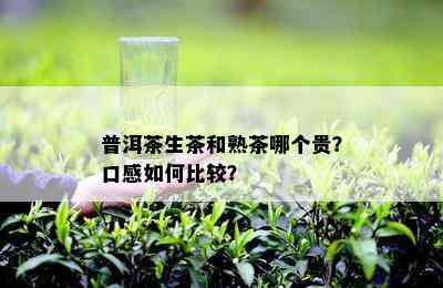 普洱茶生茶和熟茶哪个贵？口感如何比较？