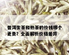 普洱生茶和熟茶的价钱哪个更贵？全面解析价格差异