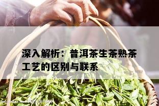 深入解析：普洱茶生茶熟茶工艺的区别与联系