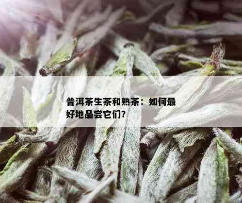 普洱茶生茶和熟茶：如何更好地品尝它们？