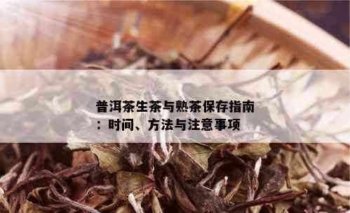 普洱茶生茶与熟茶保存指南：时间、方法与注意事项